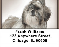 Shih Tzu Portraits Address Labels | LBQBB-95