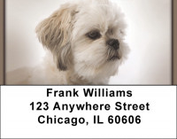 Shih Tzu Portraits Address Labels | LBQBB-95