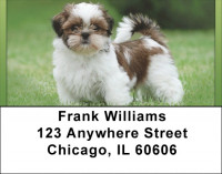 Shih Tzu Puppies Address Labels | LBQBB-96