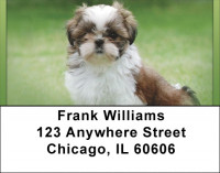 Shih Tzu Puppies Address Labels | LBQBB-96