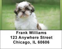 Shih Tzu Puppies Address Labels | LBQBB-96