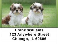 Shih Tzu Puppies Address Labels | LBQBB-96