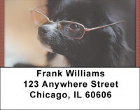 Smart Spitz Address Labels | LBQBB-98