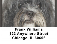 Tibetan Terriers Address Labels | LBQBB-99
