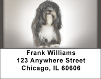 Tibetan Terriers Address Labels | LBQBB-99