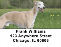 Whippets Address Labels | LBQBC-01