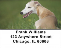 Whippets Address Labels | LBQBC-01