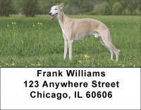 Whippets Address Labels | LBQBC-01