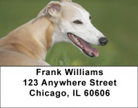 Whippets Address Labels | LBQBC-01