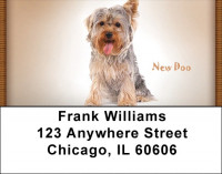 Yorkie Transformation Address Labels | LBQBC-02