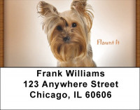 Yorkie Transformation Address Labels | LBQBC-02