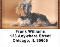 Yorkshire Terriers Address Labels | LBQBC-03