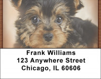 Yorkshire Terriers Address Labels | LBQBC-03
