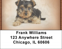 Yorkshire Terriers Address Labels | LBQBC-03