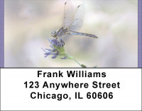 Dragonflies Close Up Address Labels | LBQBC-07