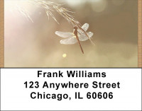 Dragonflies Close Up Address Labels | LBQBC-07
