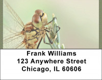 Dragonflies Close Up Address Labels | LBQBC-07