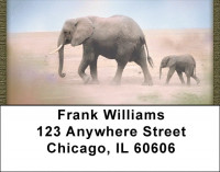 Wild Elephant Portraits Address Labels | LBQBC-22