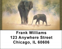Wild Elephant Portraits Address Labels | LBQBC-22