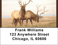 Rocky Mountain Elk Address Labels | LBQBC-23