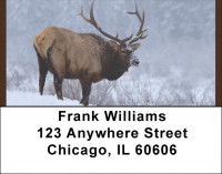 Rocky Mountain Elk Address Labels | LBQBC-23