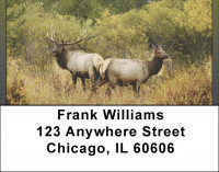 Rocky Mountain Elk In Fall Address Labels | LBQBC-24