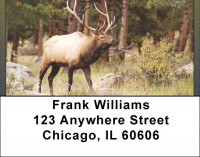 Rocky Mountain Elk In Fall Address Labels | LBQBC-24