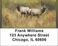 Rocky Mountain Elk In Fall Address Labels | LBQBC-24