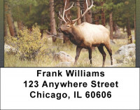 Rocky Mountain Elk In Fall Address Labels | LBQBC-24