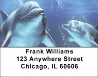 Friendly Dolphins Address Labels | LBQBC-33