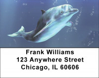 Friendly Dolphins Address Labels | LBQBC-33