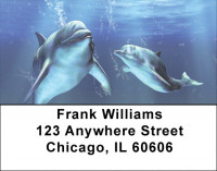 Friendly Dolphins Address Labels | LBQBC-33