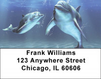 Friendly Dolphins Address Labels | LBQBC-33