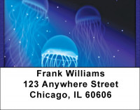 Man Of War Address Labels | LBQBC-37