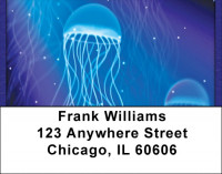Man Of War Address Labels | LBQBC-37