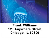 Man Of War Address Labels | LBQBC-37