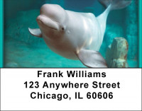 Sea Creatures Address Labels | LBQBC-39