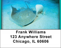 Sea Creatures Address Labels | LBQBC-39