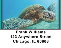 Sea Creatures Address Labels | LBQBC-39