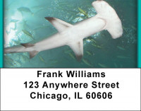 Sea Creatures Address Labels | LBQBC-39