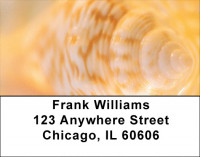 Close Inspection Address Labels | LBQBC-40