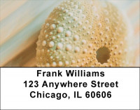 Close Inspection Address Labels | LBQBC-40