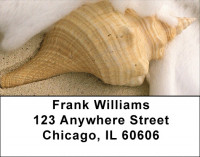 Sweet Shells Address Labels | LBQBC-43