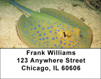 Stingrays Address Labels | LBQBC-44
