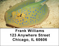 Stingrays Address Labels | LBQBC-44