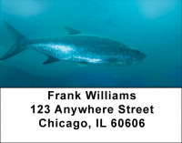 Tarpon Address Labels | LBQBC-45