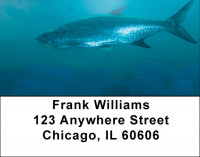 Tarpon Address Labels | LBQBC-45