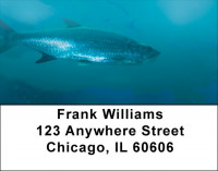 Tarpon Address Labels | LBQBC-45
