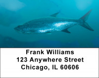 Tarpon Address Labels | LBQBC-45