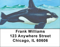 Whale Wonders Address Labels | LBQBC-48